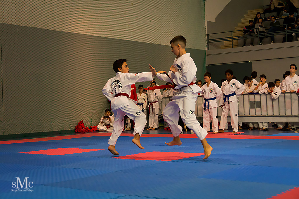 COPA SEUL, 2017  (14).JPG